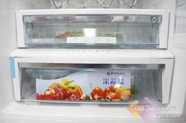 中等收入首选 5000元超值冰柜与冰箱精品推荐',