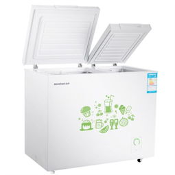 容声BCD-208MS A冰柜 家用商用的双温冷藏冷冻全能选手