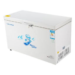 友田BD/BC-301QE 一款301升冷藏冷冻转换大冰柜的实测体验